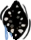 weird_mouth