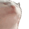 catJAMFASTER animated emote from Real Eyes Realize Real Lies