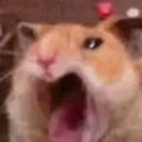 Aaaaaaaa Aaaaaaaa