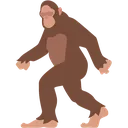 hairy_creature