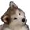1170551662285443114