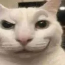 imagesmirkcat
