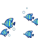 bluefishes