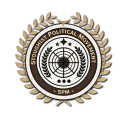 StoughistPoliticalMovementPin