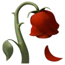 iOS_wilted_rose