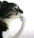 hmmm