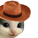 MEOWDY