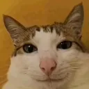 baosito