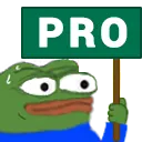 pro