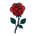 redrose