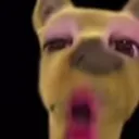 o_