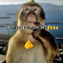 trust Discord sticker from Server of unemployed