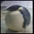 penguine