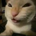 NK_nyehehe