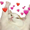 catlove