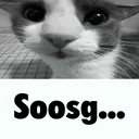 goog_soosg