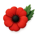 MHSC_Poppy