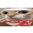 uuh animated emote | Audio Deluxe
