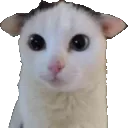 Miao