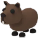 capybara99