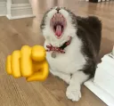 points