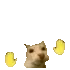 kit_sway