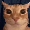 smug