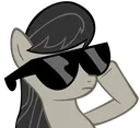 octavia_sunglasses