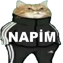 napim