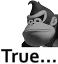 dkTrue