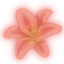 orangeflower