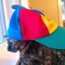 dicescat