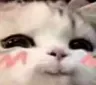 uwukedi