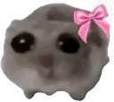 Cutehamsters Cutehamsters