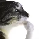 hmm