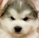 :angery: