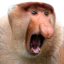 nosacz custom emote from Turbo Familia