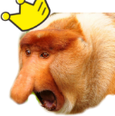 :janusz1: