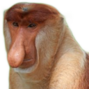 janusz3 custom emote - Turbo Familia