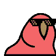parrot animated GIF emoji | Turbo Familia