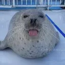 bleh