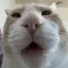 idk