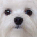 :roberto_wow:
