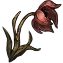 0WiltedFlower