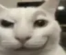 smirk