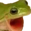 FROGGERS