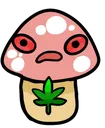 tpshroom_high