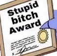 StupidBitchAward