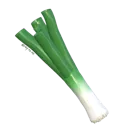 leekgreen