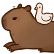 capybarasit